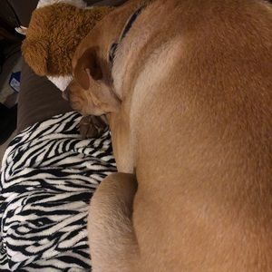 Meet your Posher, Ally